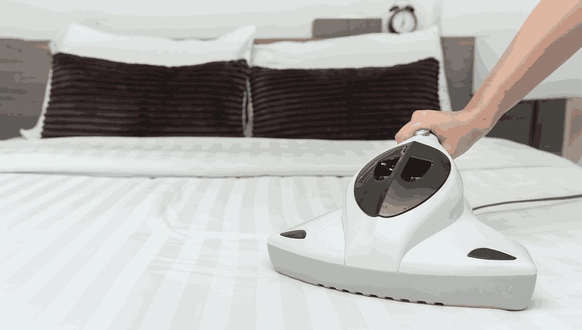 Professional Mattress Cleaning Regent